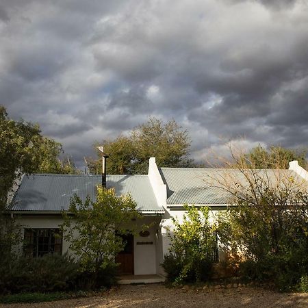 The Olive Thrush Cottage プリンス・アルバート エクステリア 写真