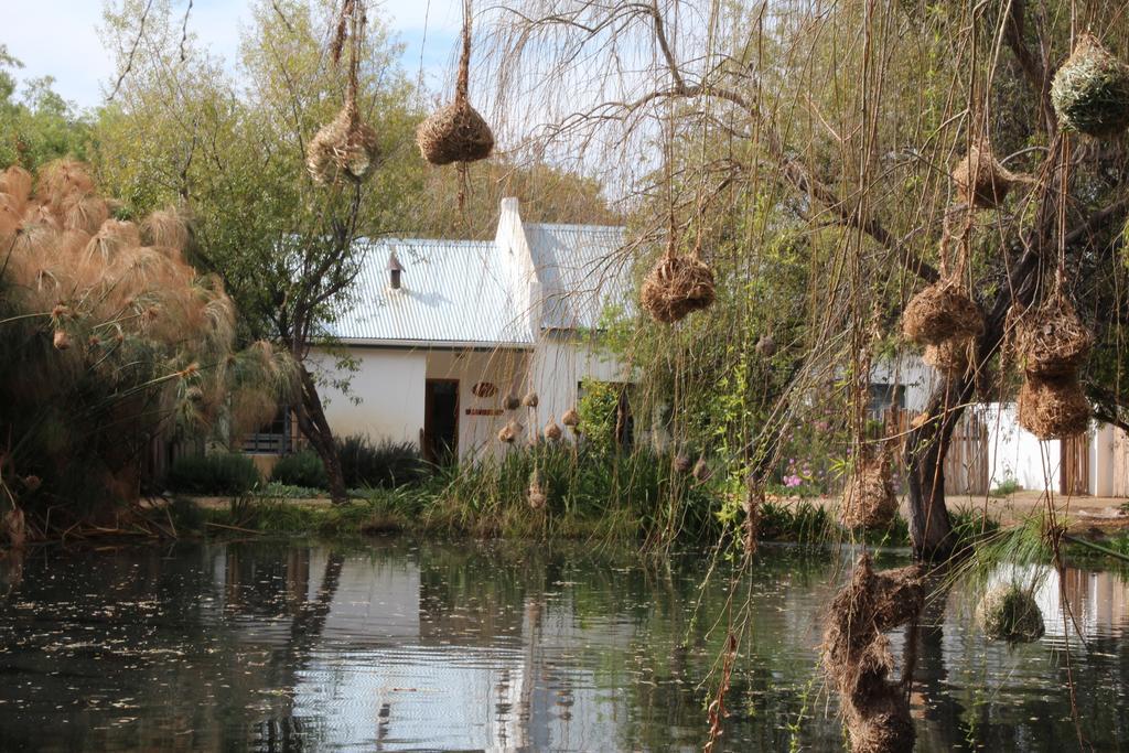 The Olive Thrush Cottage プリンス・アルバート 部屋 写真