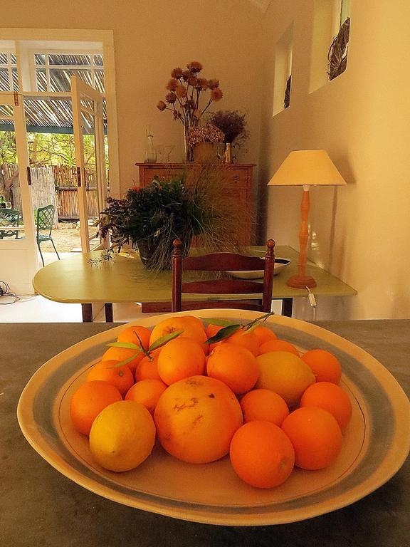 The Olive Thrush Cottage プリンス・アルバート 部屋 写真